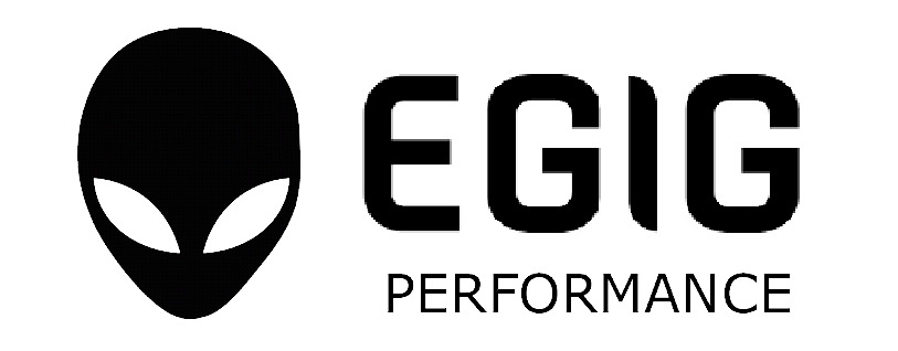 EGIG Performance