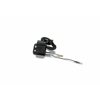 Transducteur Bobine Malossi VesPower / E-Power
