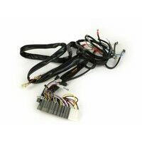 Faisceau CIF Vespa T5 125cc Elestart, PX Arcobaleno Elestart (1984-1997), avec batterie, stator avec 5 câbles
