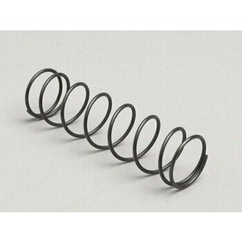 Ressort de boisseau SI20/20E, SI20/20H, SI24/24E, SI24/24G, SI24/24H, SI27/23 (GS160/SS180)
